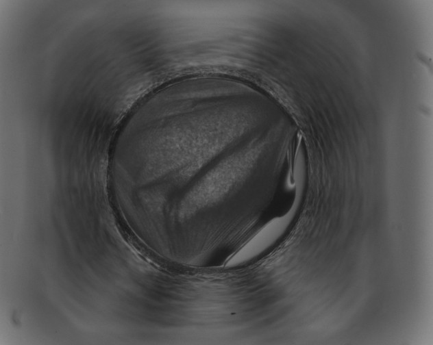 X0000092050434200710101018