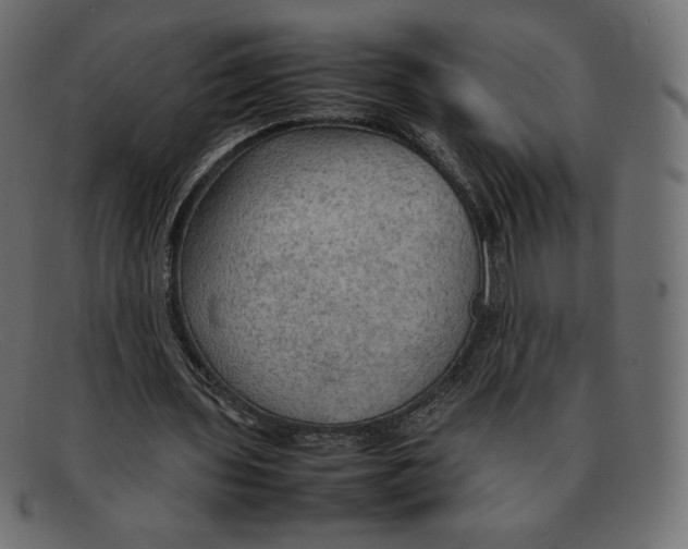 X0000092050435200710101018