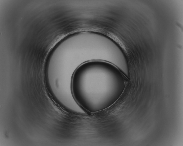 X0000092050436200710101018