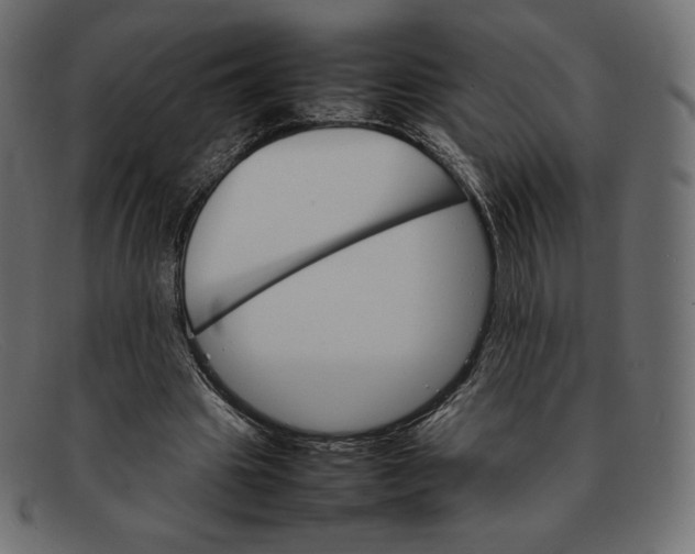 X0000092050441200710101018