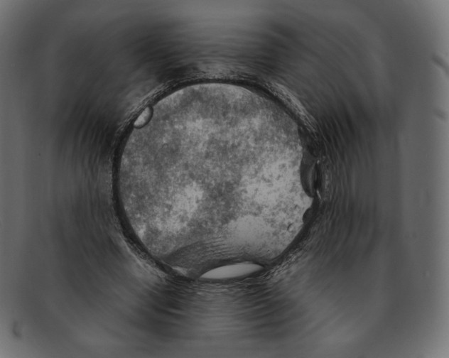 X0000092050442200710101018