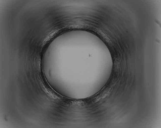 X0000092050446200710101018