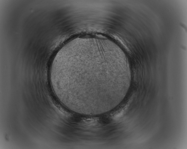 X0000092050447200710101018