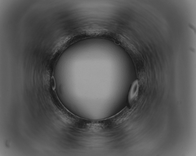 X0000092050448200710101018