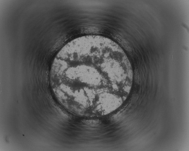 X0000092050449200710101018