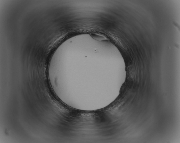 X0000092050450200710101018