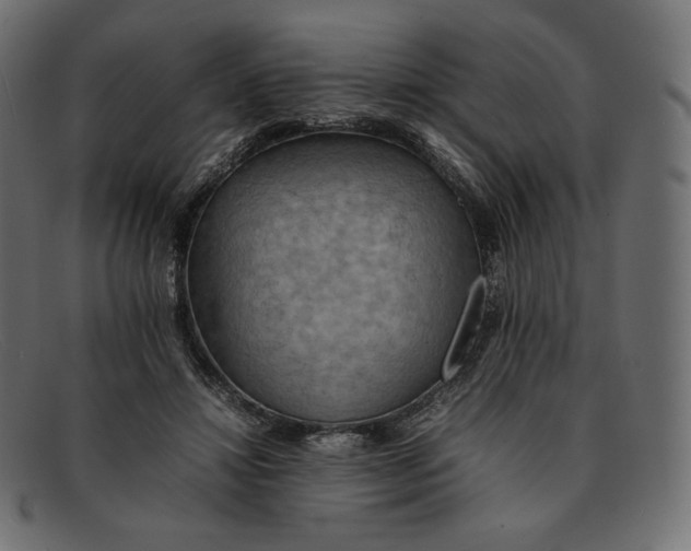 X0000092050452200710101019