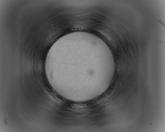 X0000092050455200710101019