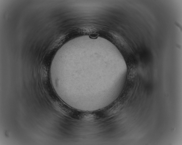 X0000092050456200710101019