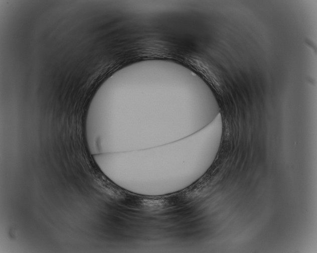 X0000092050457200710101019