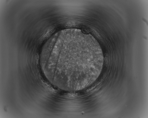 X0000092050458200710101019