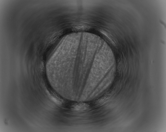 X0000092050459200710101019