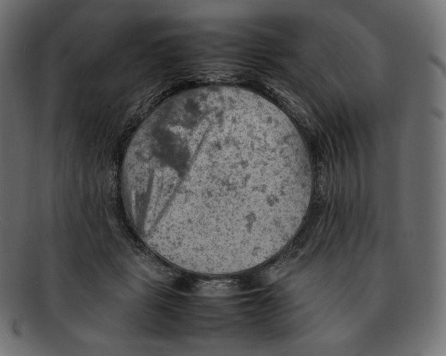 X0000092050461200710101019