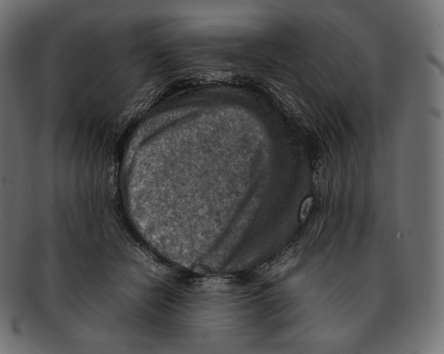 X0000092050462200710101019