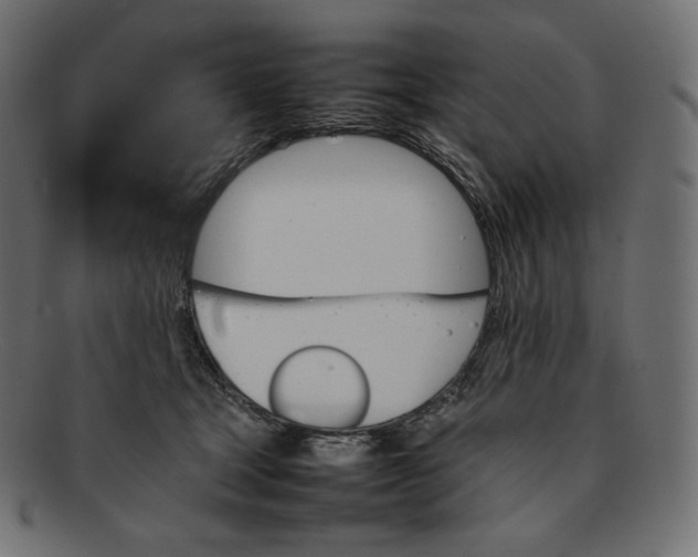 X0000092050465200710101019