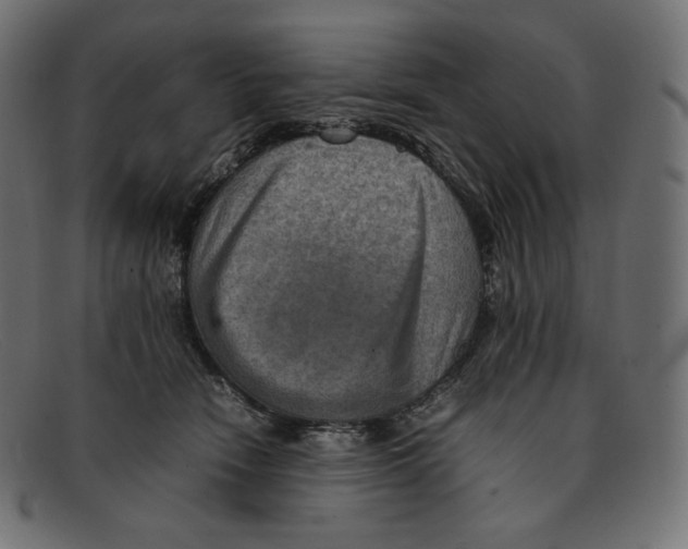 X0000092050466200710101019