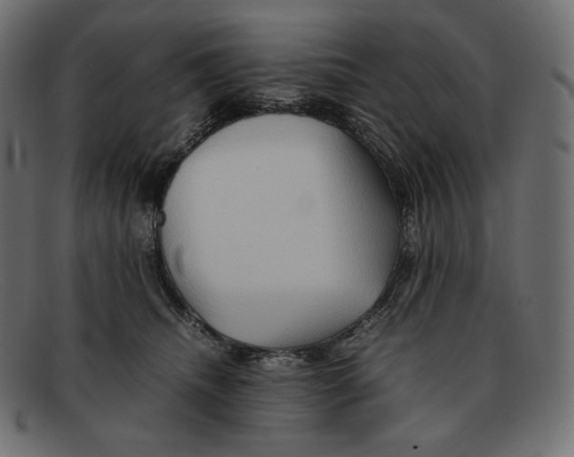 X0000092050468200710101019