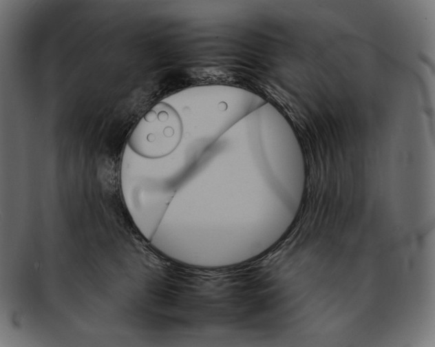 X0000092050469200710101019