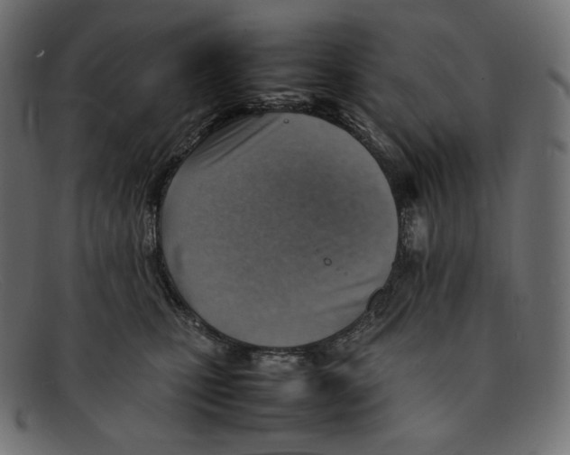 X0000092050471200710101019