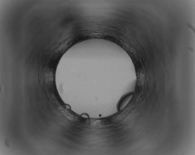 X0000092050472200710101019