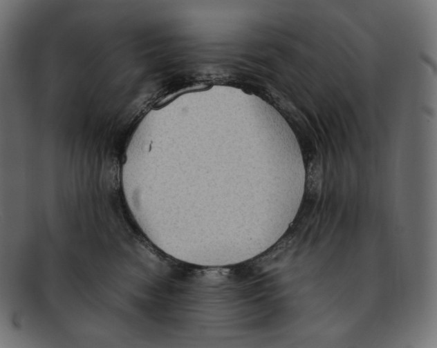 X0000092050474200710101019