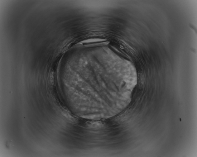 X0000092050475200710101019