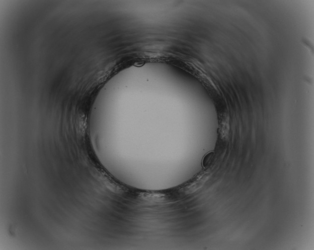 X0000092050476200710101019