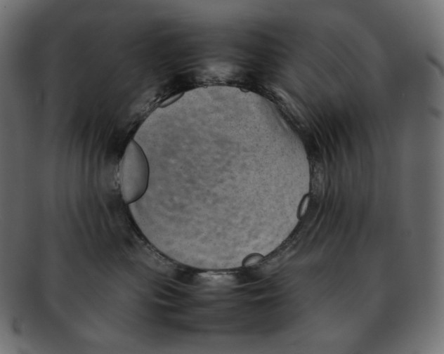 X0000092050477200710101019