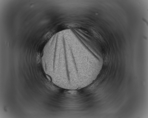 X0000092050478200710101019