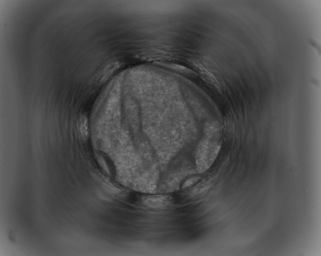 X0000092050479200710101019