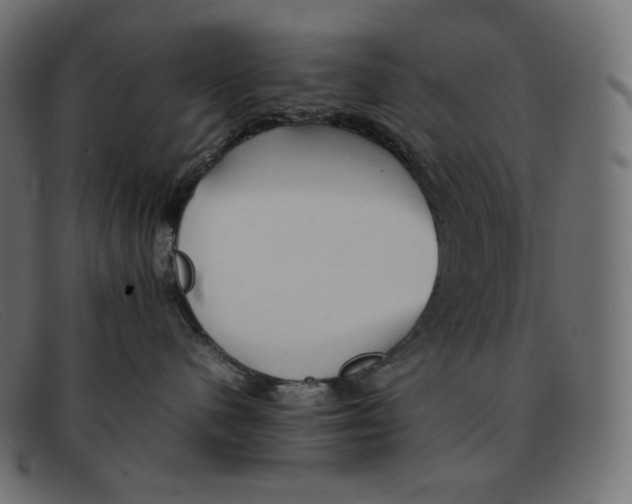 X0000092050480200710101019