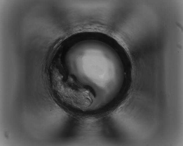 X0000092050481200710101018