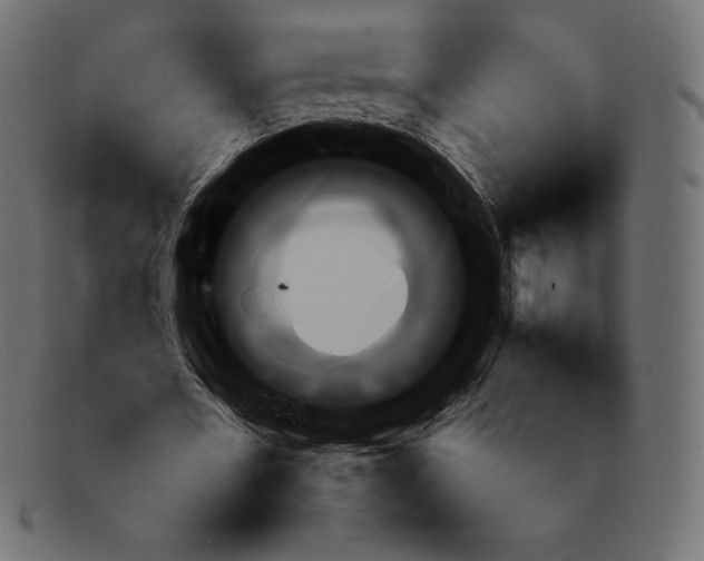 X0000092050482200710101018