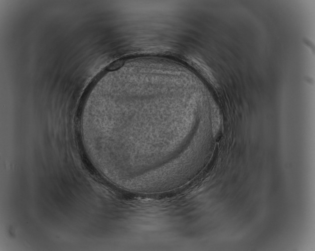 X0000092050483200710101018