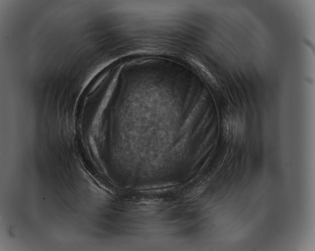 X0000092050484200710101018