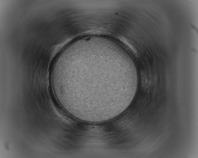 X0000092050486200710101018