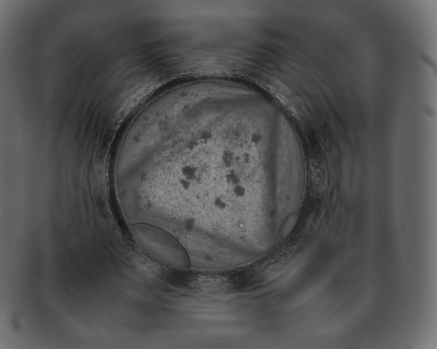 X0000092050487200710101018