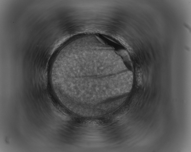 X0000092050488200710101018