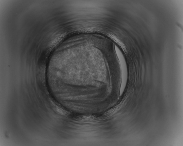 X0000092050493200710101018