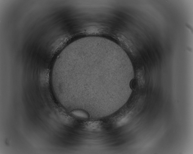 X0000092050495200710101018