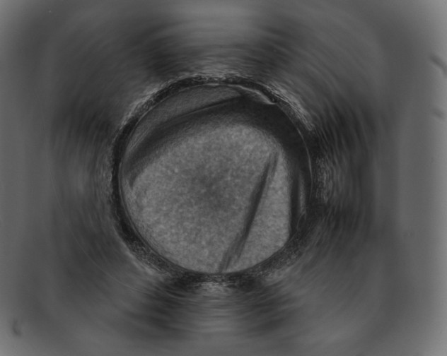 X0000092050496200710101018