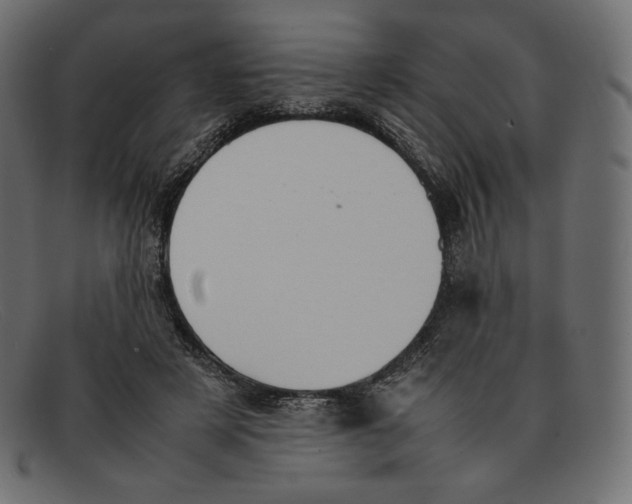 X0000092050497200710101018