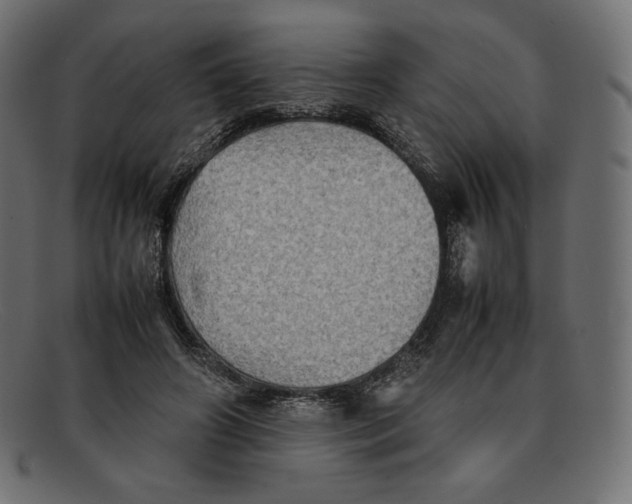 X0000092050498200710101018