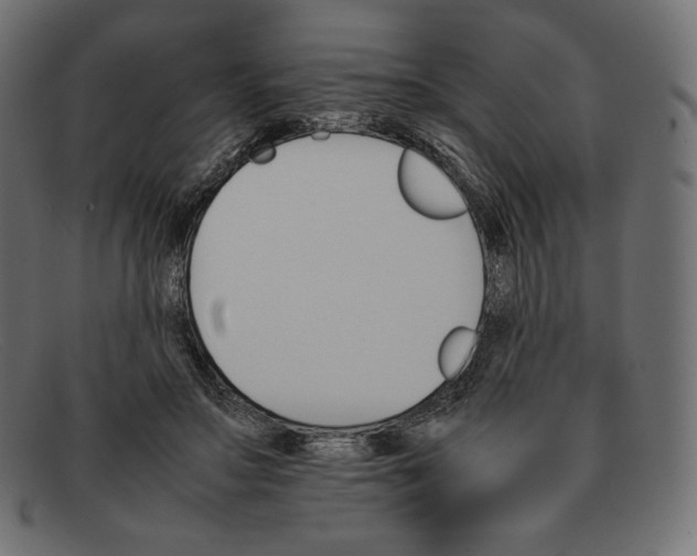 X0000092050499200710101018