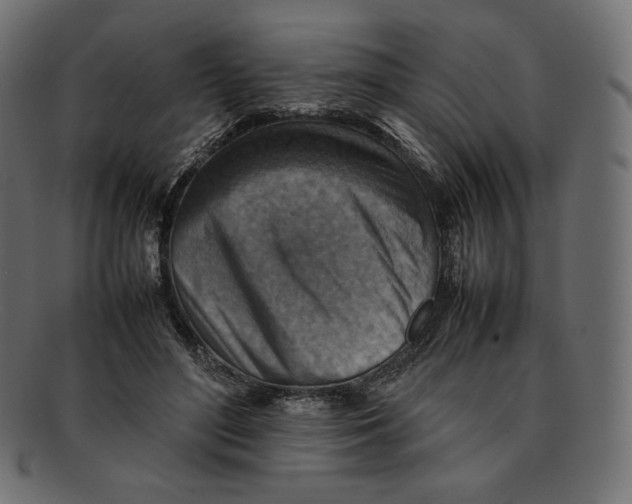 X0000092050500200710101018