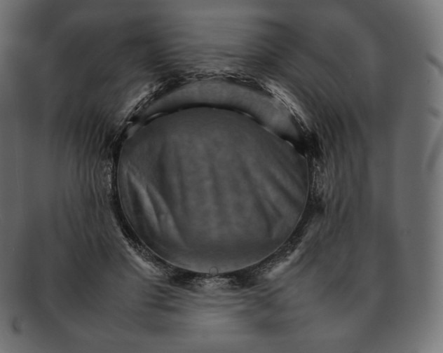 X0000092050501200710101018