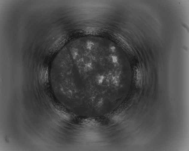 X0000092050502200710101018