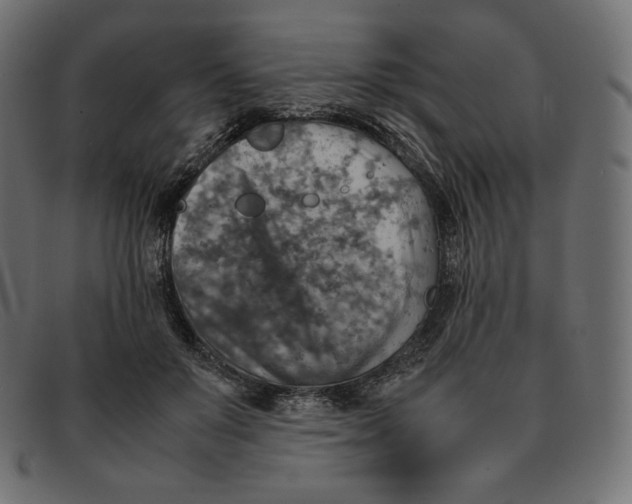 X0000092050503200710101018