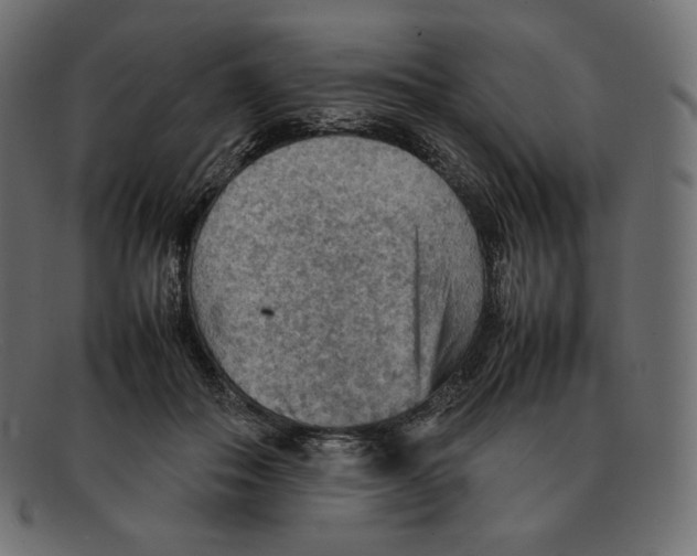 X0000092050506200710101018