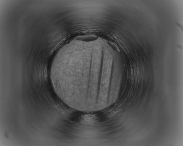 X0000092050508200710101018